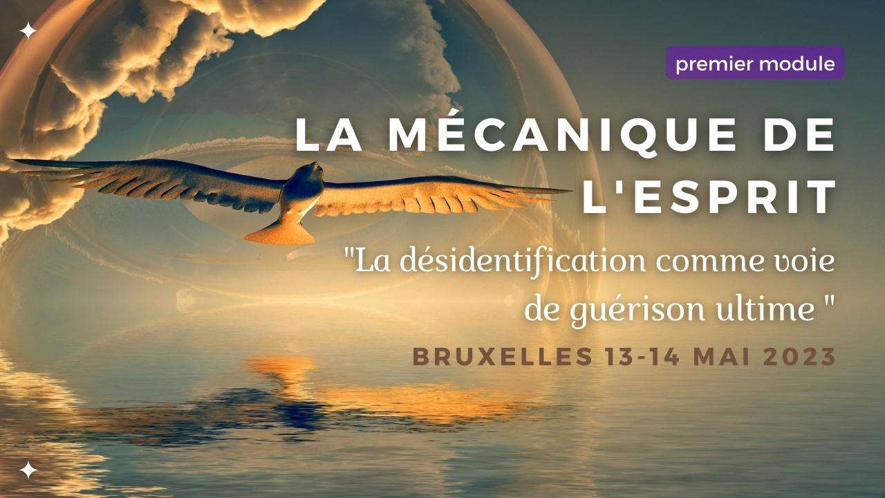 Event Bruxelles (1)