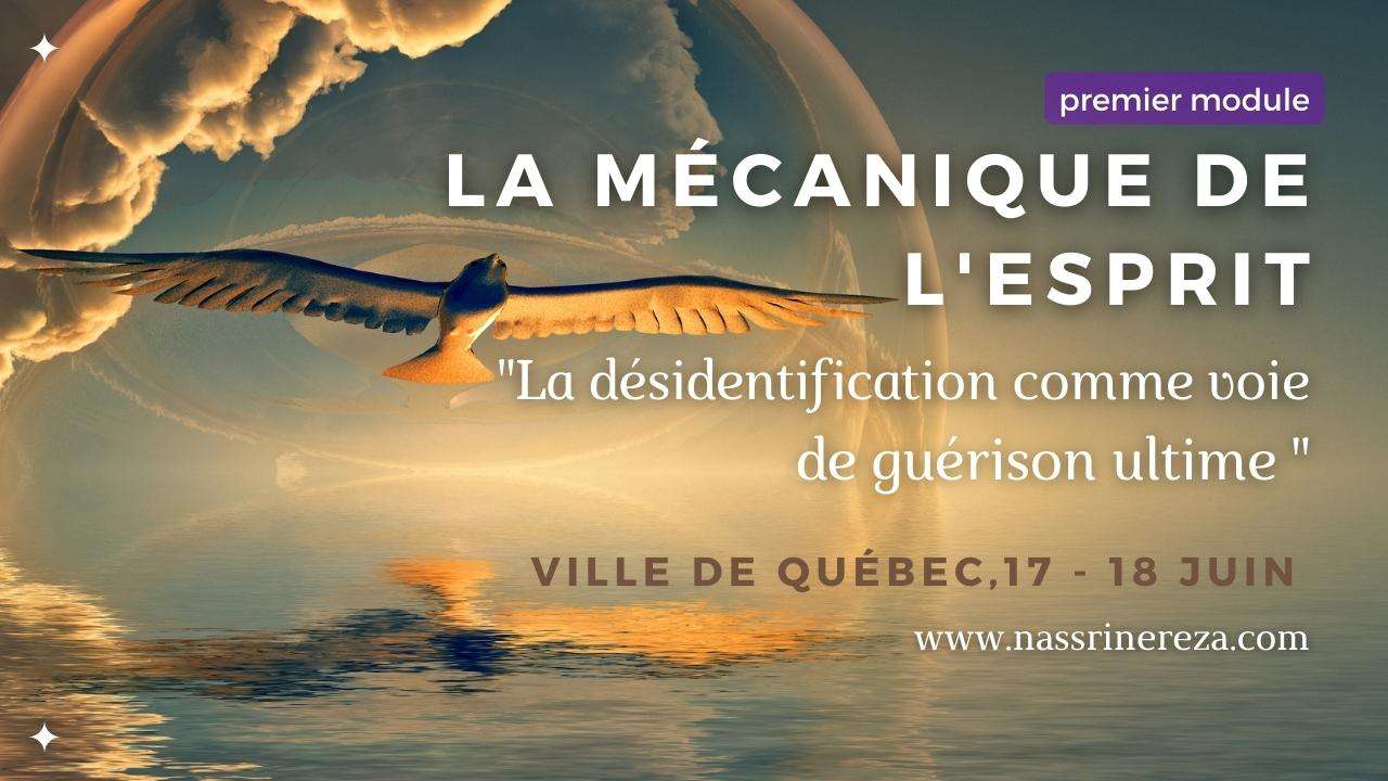 Banner Ville de Québec